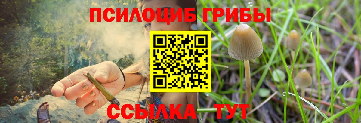 Псилоцибиновые грибы прущие грибы Советская Гавань